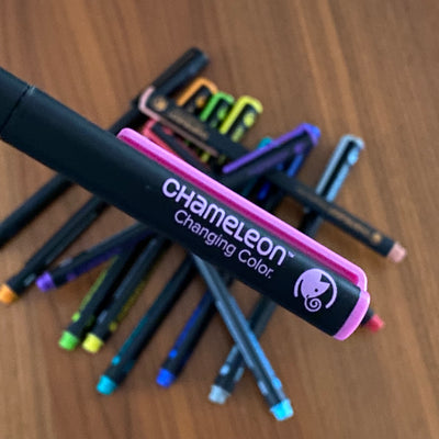 Fineliners markers. Chameleon