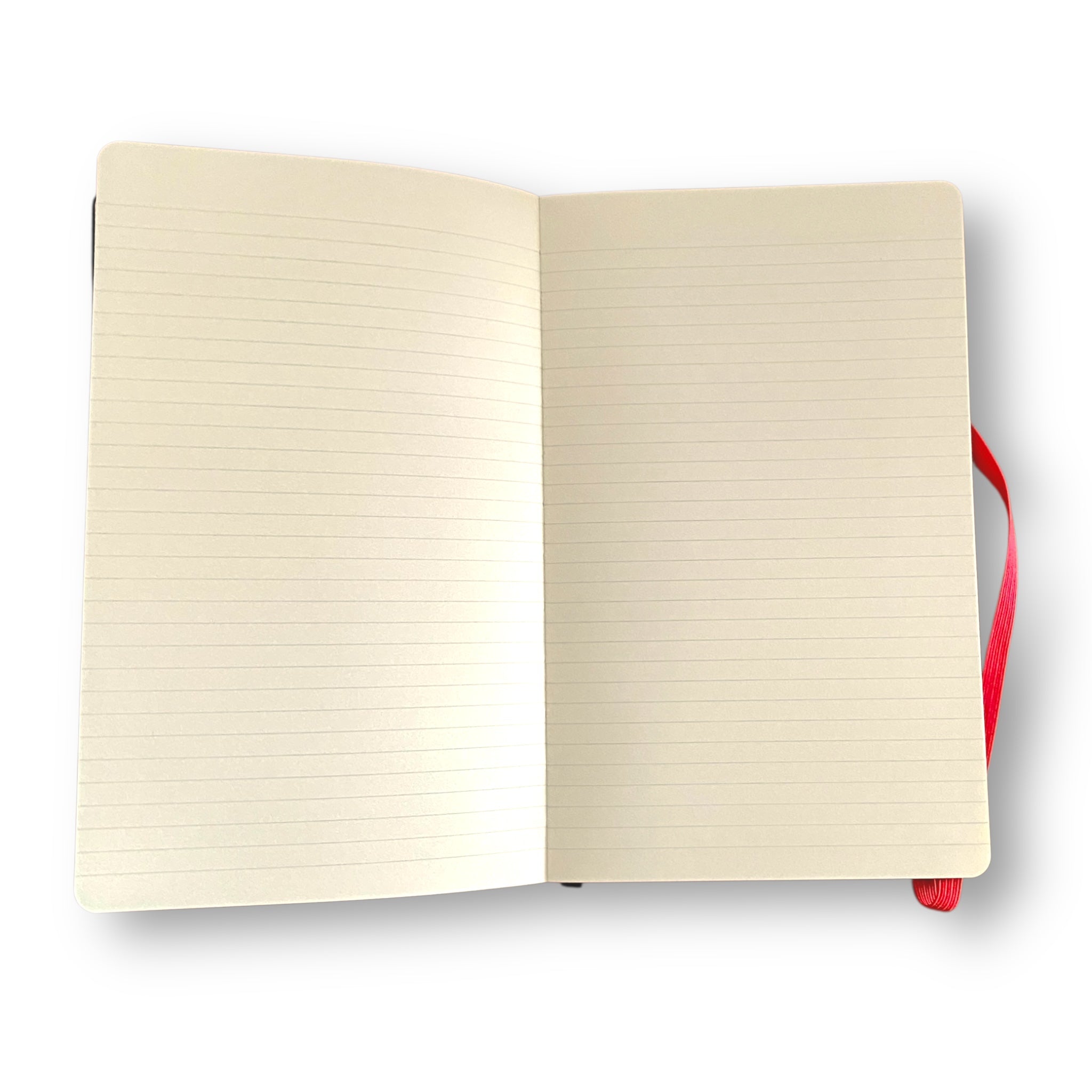 Set Blackwing x Moleskine Peanuts