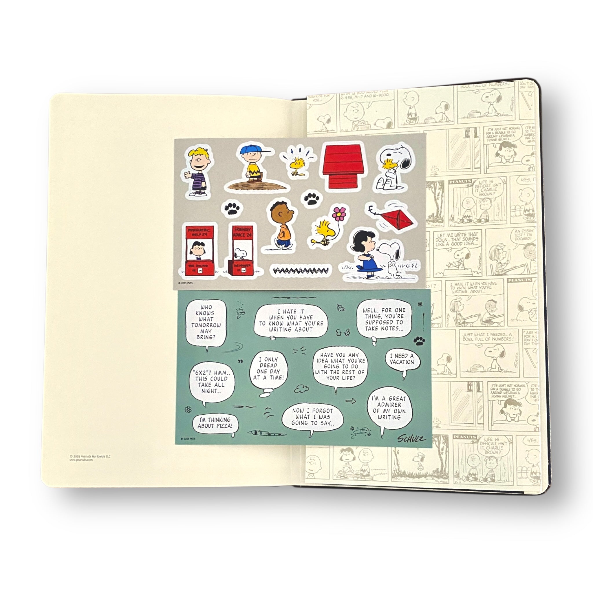 Set Blackwing x Moleskine Peanuts